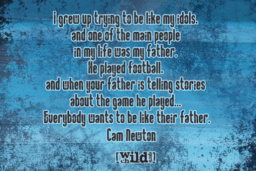 Cam Newton Quotes 8