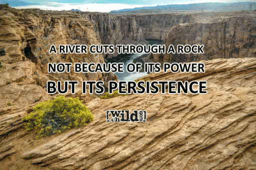 Persistence Quotes to Keep you Going - Wild Child Sports