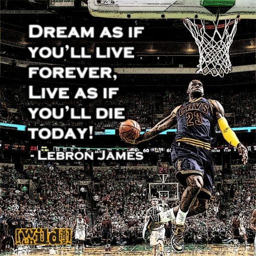 lebron james motivational sports quotes