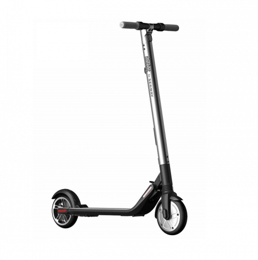 Ninebot Segway Kick Scooter