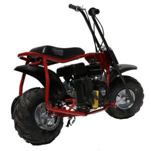 Coleman Powersports CC100X